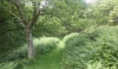 Tocht Te voet North Devon - Countisbury figure of eight walk - Photo 3