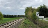 Tour Zu Fuß Bad Brambach - Wanderweg grüner Strich - Photo 6