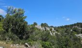 Tour Wandern Ollioules - Châteauvallon - Ollioules - Photo 19