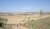 Tocht Stappen Burgos - CC_Frances_CA_13_Burgos_Hontanas_20110704 - Photo 1