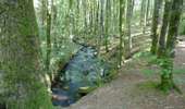 Tour Wandern Saint-Denis - Prise d'eau d'Alzeau - Photo 15