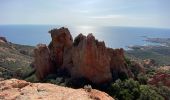 Tour Wandern Saint-Raphaël - Saint pilon pic du cap roux et ste beauté - Photo 6