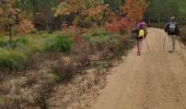 Tocht Stappen Tanneron - z chemin charretier 30-10-18 - Photo 4