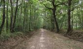 Trail Walking Charentilly - Charentilly - variante Chemin des Grandes Tailles - 11.2km 110m 3h00 - 2025 08 27 - Photo 10