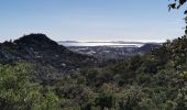 Trail Walking La Crau - Chapelle du Fenouillet & Château de Hyères - Photo 18