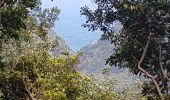 Excursión Senderismo Porto Moniz - Gorge de la Ribeira da Janela et sa belle cascade (Rother n°60) - Photo 8