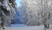 Tocht Stappen Bouvante - Crête des Gagères - Photo 1