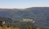 Randonnée Marche Kruth - Lac de Kruth - Grand Ventron - château de Wildenstein  - Photo 17