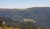 Tour Wandern Krüt - Lac de Kruth - Grand Ventron - château de Wildenstein  - Photo 17