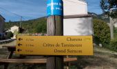 Tour Wandern Charens - Montagne de Tarsimoure - Charens  - Photo 1