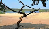 Trail Walking Lommel - Le Sahara de Lommel  - Photo 9