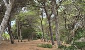 Tocht Stappen Hyères - Rando Porquerolle - Photo 6