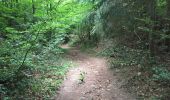 Tour Wandern Arel - 33.419 Arlon - Circuit Eischen - Bois du Moulin - Photo 8