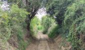 Trail Walking Bassenge - A la découverte de Wonck 🥾 - Photo 4