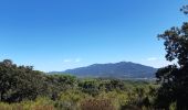 Tour Wandern Le Boulou - rando de la bataille du Boulou - Photo 11