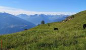 Excursión Marcha nórdica Arbaz - la brune - Photo 2