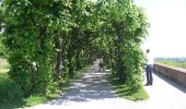 Percorso A piedi Bergkirchen - MVV Wanderweg Dreieck Dachau Olching - Photo 8