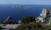 Trail Walking Marseille - calanques podestal, escut, melette - Photo 9