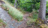 Trail Walking Spa - roche plate . pavillon Hesse . thermes . parc des 7 heures - Photo 17