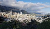 Tour Wandern Cap-d'Ail - Rando Cap D'Ail-Tete de chien-La Turbie-Monaco - Photo 1