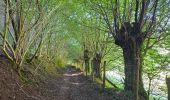 Tocht Stappen Manhay - Balade à Deux-Rys - Manhay - Photo 18