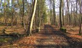 Trail Walking Vieux-Moulin - en forêt de Compiègne_25_les Tournantes du Mont Saint-Pierre - Photo 13