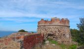 Trail Walking Argelès-sur-Mer - racou - collioure - racou / en boucle - Photo 10