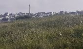 Tocht Stappen Le Conquet - Le conquet blancs sablons Trezien - Photo 9