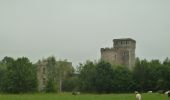 Tour Zu Fuß Verlaine - Circuit des châteaux - Photo 3