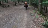 Trail Horseback riding Saint-Léger-de-Rôtes - rando  equestre st leger de roste - Photo 14