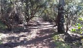 Trail Walking Lège-Cap-Ferret - les réservoirs de Piraillan - Photo 4