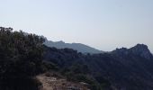 Randonnée Marche Gigondas - Gigondas Dentelles Sarasines Grande Montagne  - Photo 19