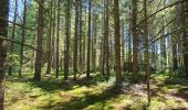 Trail Walking La Chaise-Dieu - Sentier du Serpent d'Or  - Photo 9