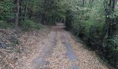Tour Wandern Andenne - Geron(Andenne) -   Surlemez(Couthuin) circuit - Photo 9