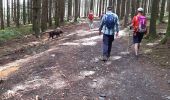 Trail Walking Houffalize - Bernard  - Photo 1