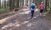 Tour Wandern Hohenfels - Bernard  - Photo 1