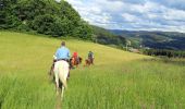 Trail Horseback riding Le Tholy - 2022-06-01 Rando CVA Le Tholy Boucle Cascades du Tendon - Photo 5