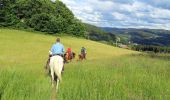 Tour Reiten Le Tholy - 2022-06-01 Rando CVA Le Tholy Boucle Cascades du Tendon - Photo 5