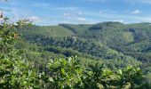 Randonnée Marche Kiischpelt - Escapardenne Eisleck Trail: Kautenbach - Clervaux - Photo 12