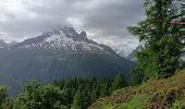 Percorso Marcia Chamonix-Mont-Blanc - Lac blanc par Argentierre  - Photo 2