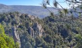 Trail Walking Le Revest-les-Eaux - Le tour du mt Caume - Photo 4