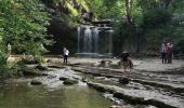 Tocht Stappen Menétrux-en-Joux - Trois cascades du Hérisson  - Photo 2