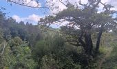 Tour Wandern Matafelon-Granges - les 2 vallées sous la mousse ... - Photo 9