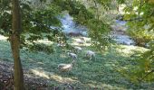 Randonnée Marche Vèbre - Vebre, Lassure, La Remise, Vebre - Photo 4