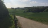 Trail Walking Houyet - Celles - Photo 3