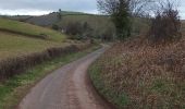 Percorso A piedi Teignbridge - Kenn to Haldon Trail - Photo 6