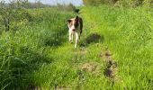 Trail Walking Aix-en-Issart - Sentier du paradis - Photo 6
