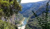 Tour Wandern Saint-Remèze - Gorges de l'Ardèche - bivouac de Gournier - Photo 1
