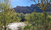 Percorso Marcia Roquebrune-sur-Argens - lac de l arena - roquebrune - Photo 15