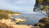 Tocht Stappen Saint-Florent - Saint Florent les agriates  - Photo 9